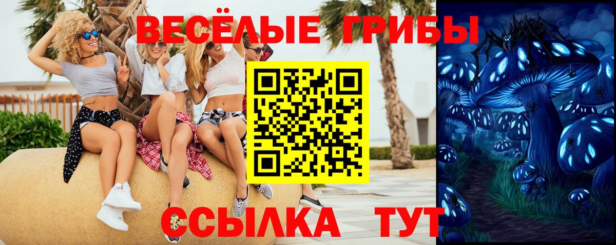 Псилоцибиновые грибы мицелий Луховицы