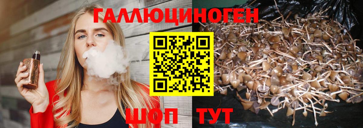 Галлюциногенные грибы мицелий  Вход с VPN  Луховицы 